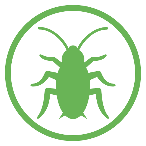 Cockroach control east tennessee cockroach control east tennessee