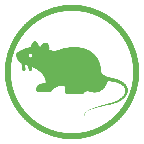 Rodent control east tennessee rodent control east tennessee
