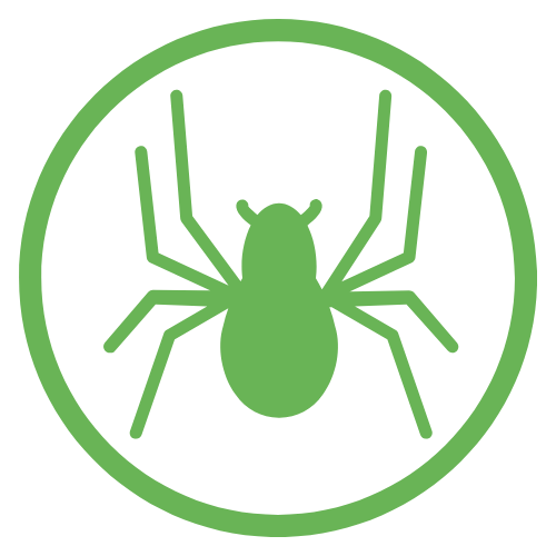 Spider control east tennessee spider control east tennessee